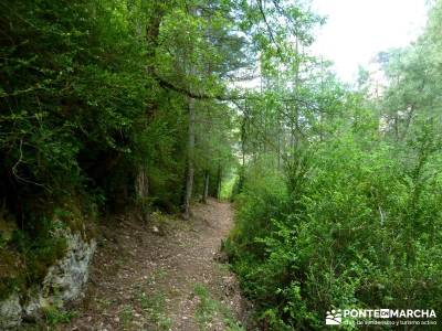 Hoz de Tragavivos; gente para viajar; parque natural alto tajo; viajar sola;visitas cerca de madrid